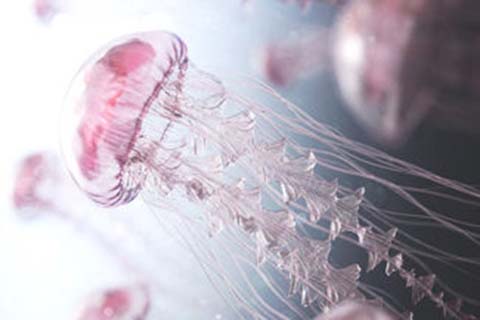 http://dalian.huochezhan.net/post/222.html|大连供卵助孕