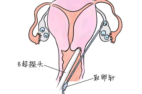 http://dalian.huochezhan.net/post/205.html|大连供卵助孕