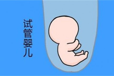 培养大连捐卵宝宝艺术细胞的小技巧