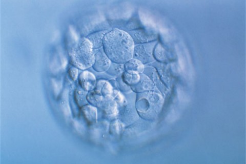 http://dalian.huochezhan.net/post/200.html|大连新闻中心