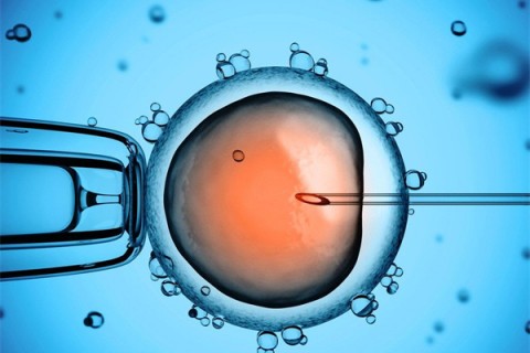 http://dalian.huochezhan.net/post/199.html|大连供卵助孕